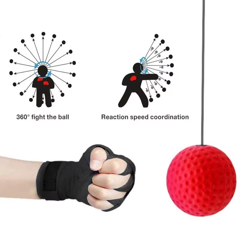 Bola de Velocidade para Boxe M - Sports Equipment Pictures avaliação e preço